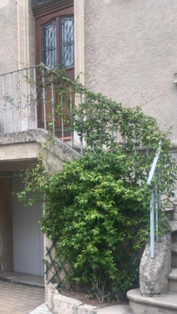 Chez Catherine Arles Extérieur photo